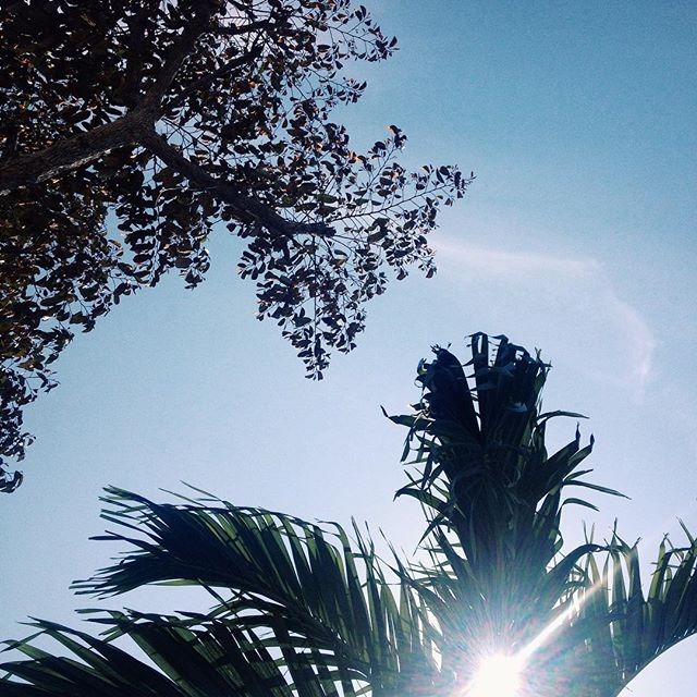 weekend soon 🌴 départ pour marseille H-8!!